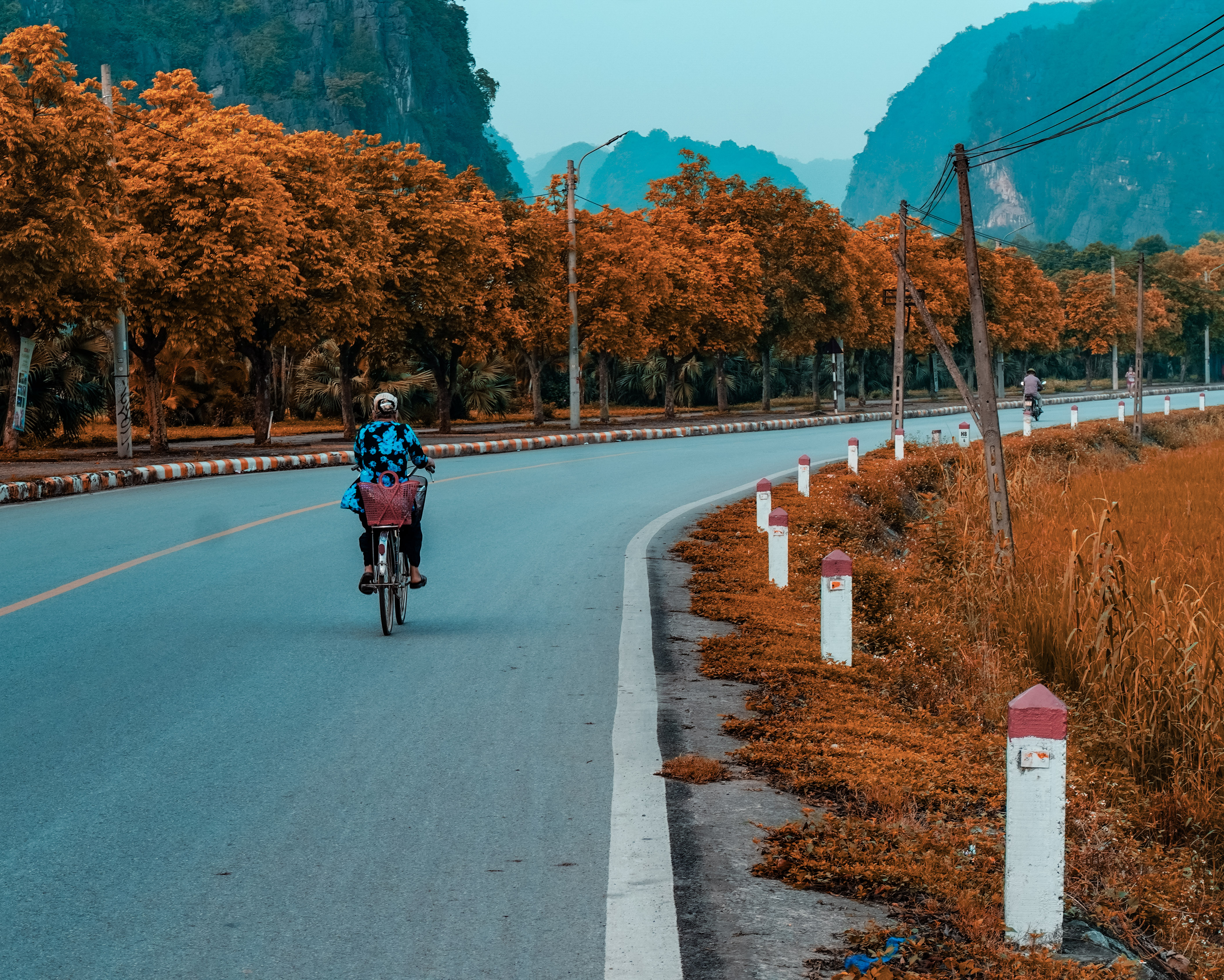 THE MOUNTAIN ROAD - undefined, undefined